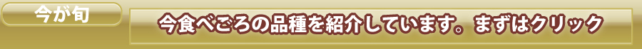 今が旬、通販の原点、青森りんごの通販受付中:通販サイトおすすめ価格と産地直送値段,青森,農家,産直,まごころおすすめ価格と産地直送値段,通販サイト