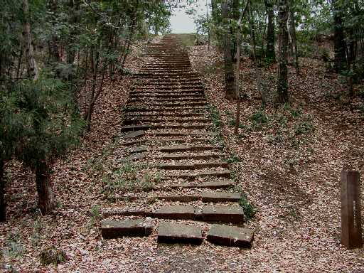 菩提樹の森　幽霊階段