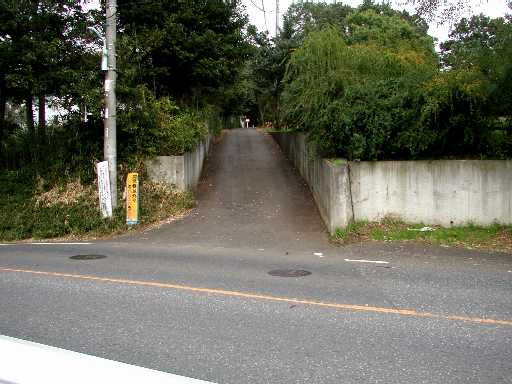 八国山　尾根道の入口