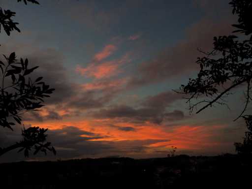 R0060751.JPG