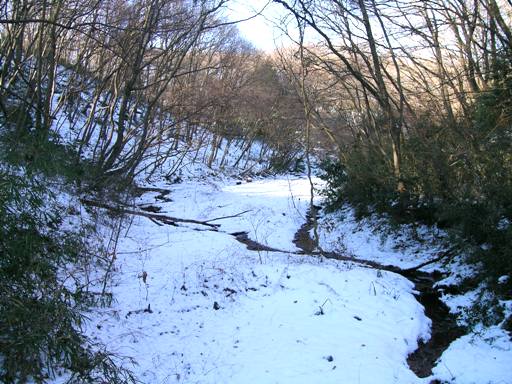 野山北湿地　雪