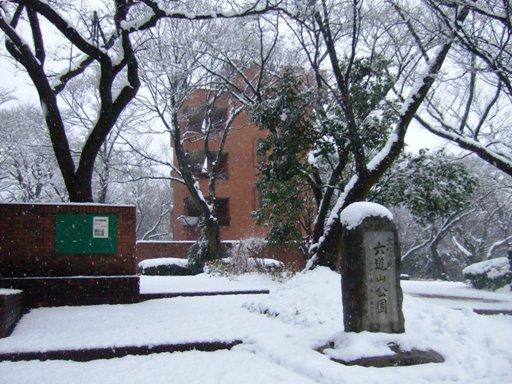 六道山公園の雪