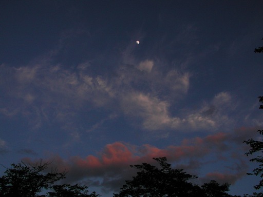 桜沢広場の上弦の月