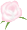 rose-flower.gif