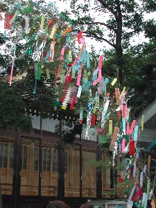 tanabata3.jpg