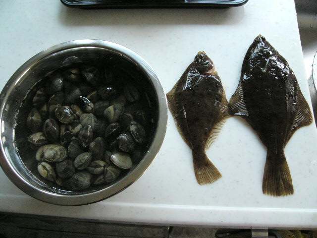 ファイル 3-5.jpg