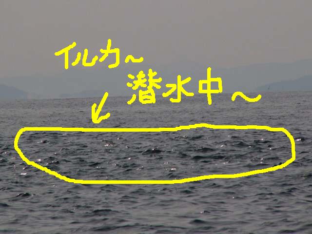 ファイル 42-1.jpg