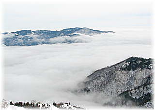 �T�C�g�}�b�v��