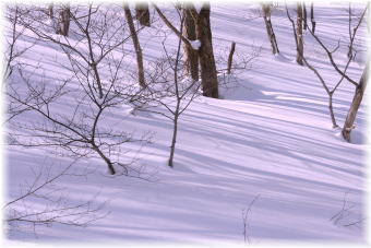 TOP�y�[�W�̉摜��