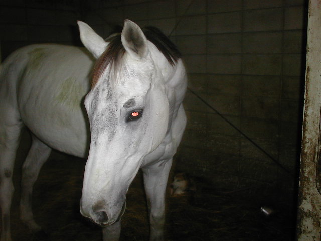 el001