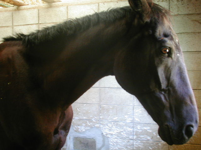mika001