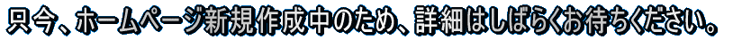 Aiz[y[WVK쐬̂߁Aڍׂ͂΂炭҂B 