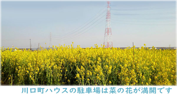 ̃t[cK[f