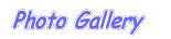 ^CgC[W