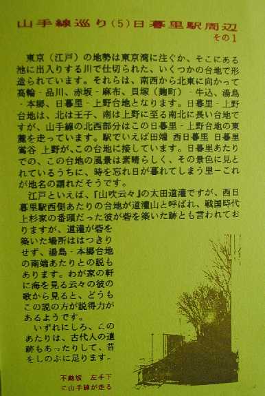 闢w