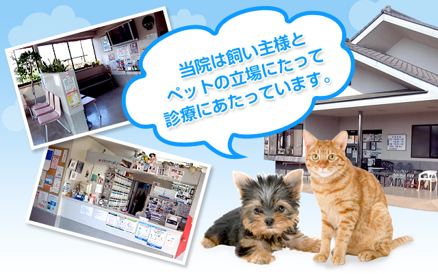 渋谷犬猫病院は飼い主様とペットの立場にたってインフォームドコンセントを重視して診療にあたっています。