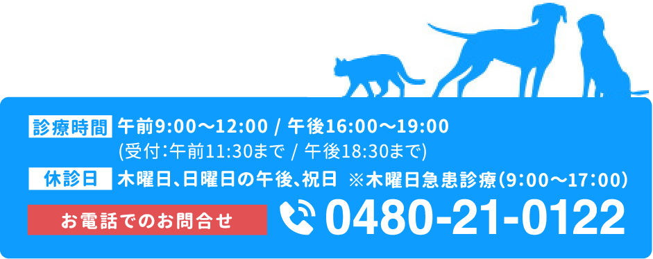 渋谷犬猫病院 診療時間　電話でのお問合せ0480-21-0122