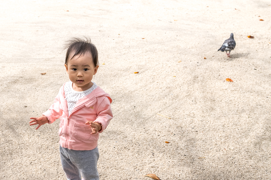 1211_03_03_緑町公園_12