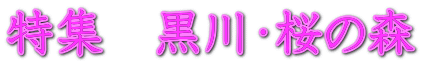 特集　黒川・桜の森